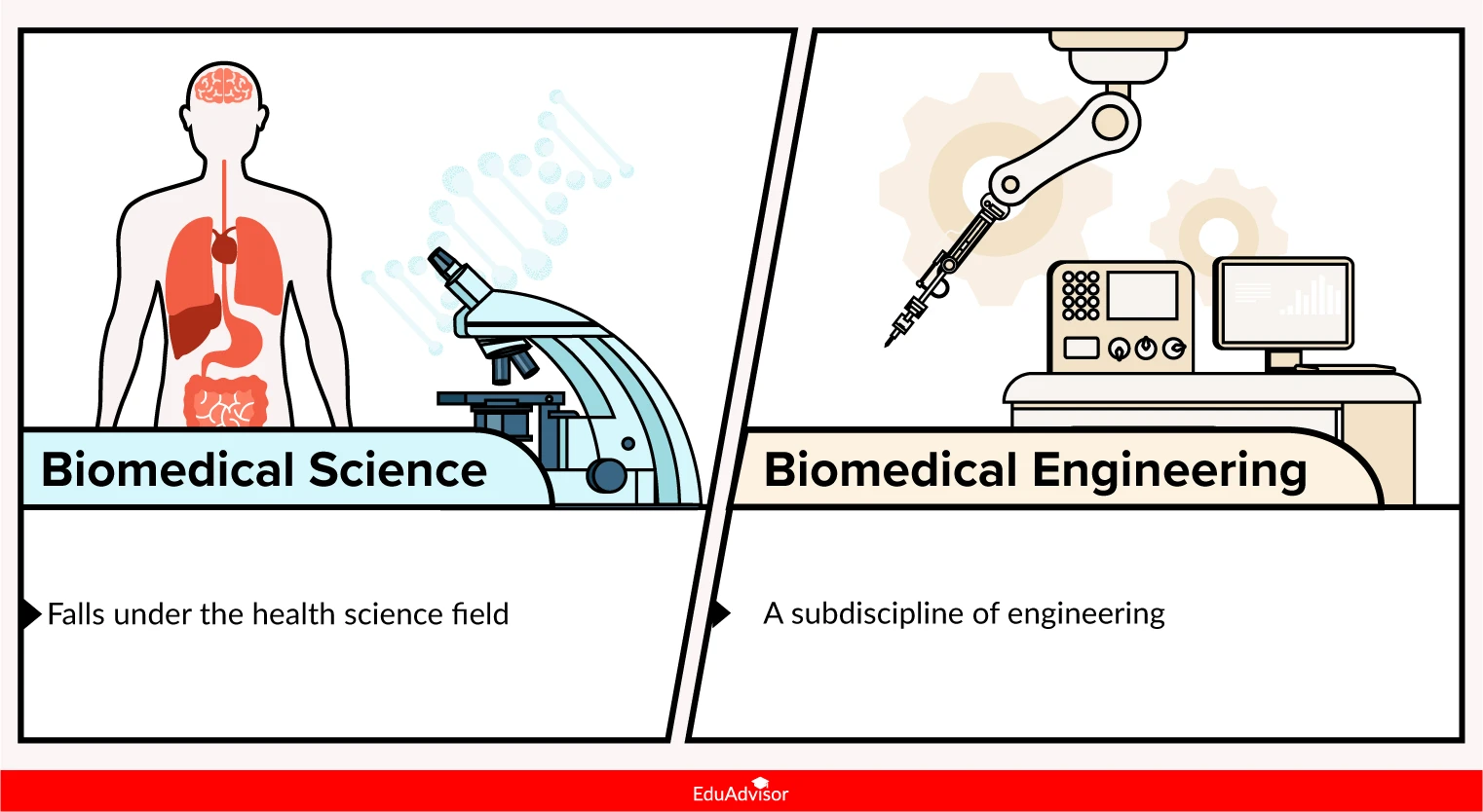 biomed-science-vs-biomed-engineering-field-of-study