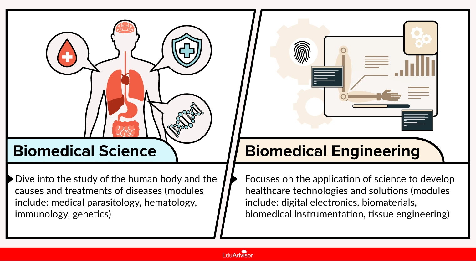 Biomedical Science vs Biomedical Engineering What’s the Difference?