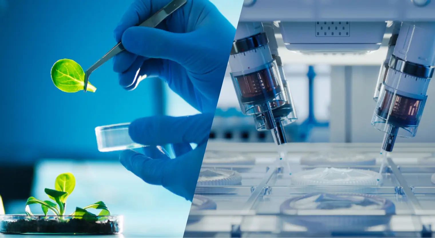 Food Science and Biotechnology at Taylors University