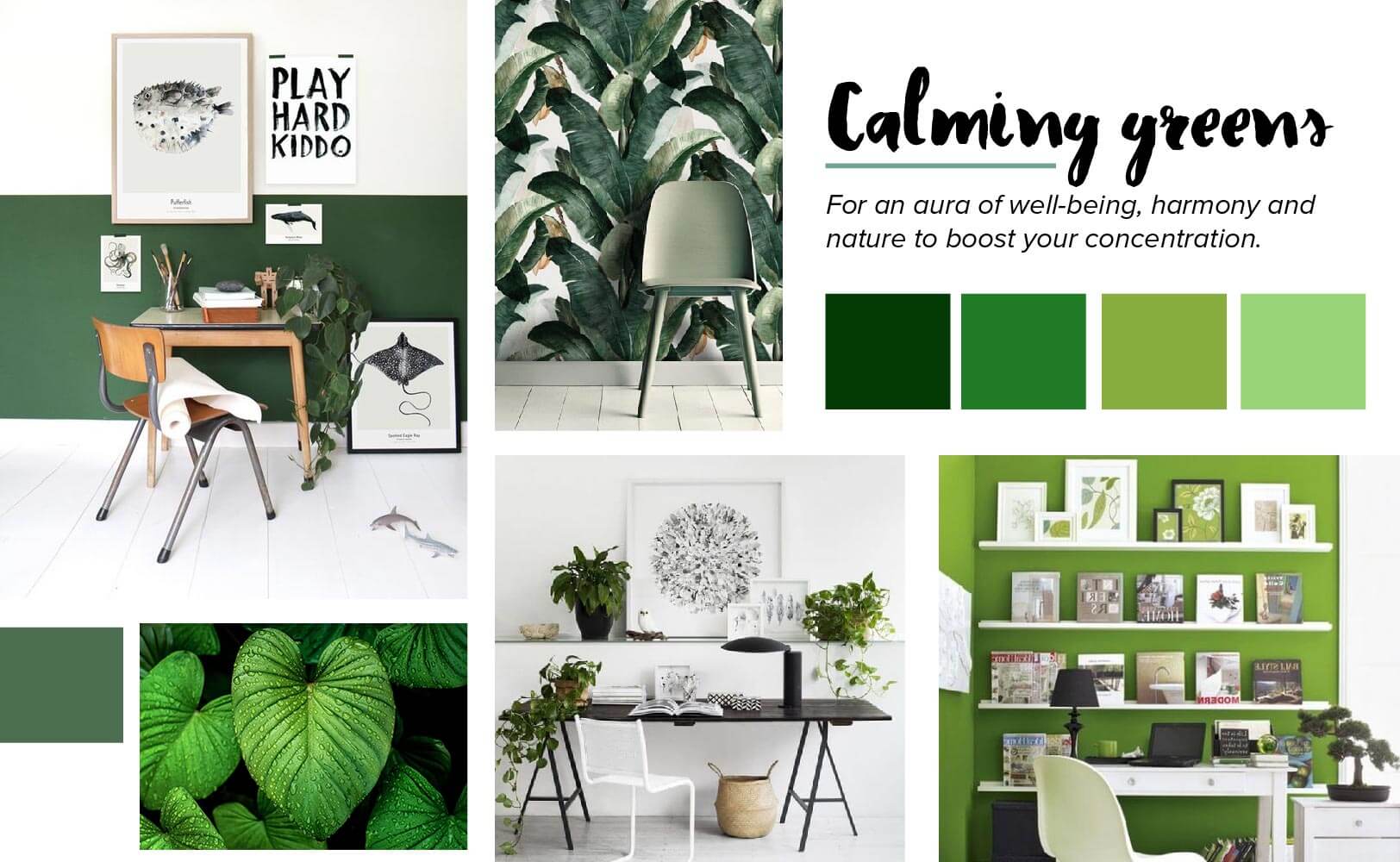 Image: Half Green Wall, Tropical Wallpaper, Plants Desk, Green room, Leaves