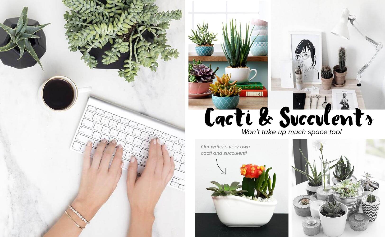 Image: Keyboard, Desk #1, Succulents #1, Succulents #2