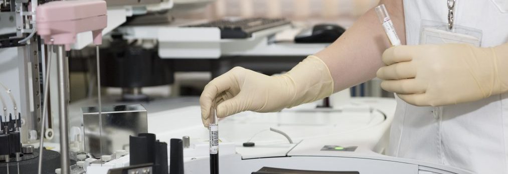 Multiple Intelligences - physical learning style