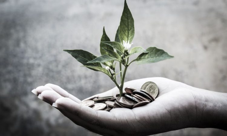 managing money college - optimise money