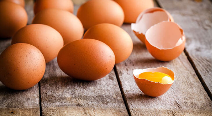 brain-food-egg-yolk