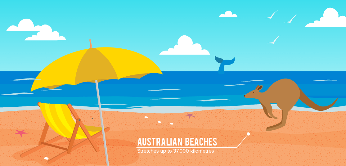 Unusual Facts Studying in Australia - Australian Beaches