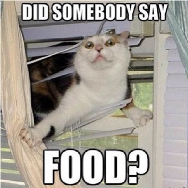 tu-people-you-will-meet-5