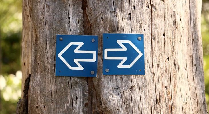 Diploma or Pre-University Course - Pathway of Study