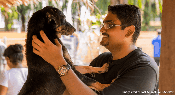 14 Ways to Be a Superhero - Animal Welfare