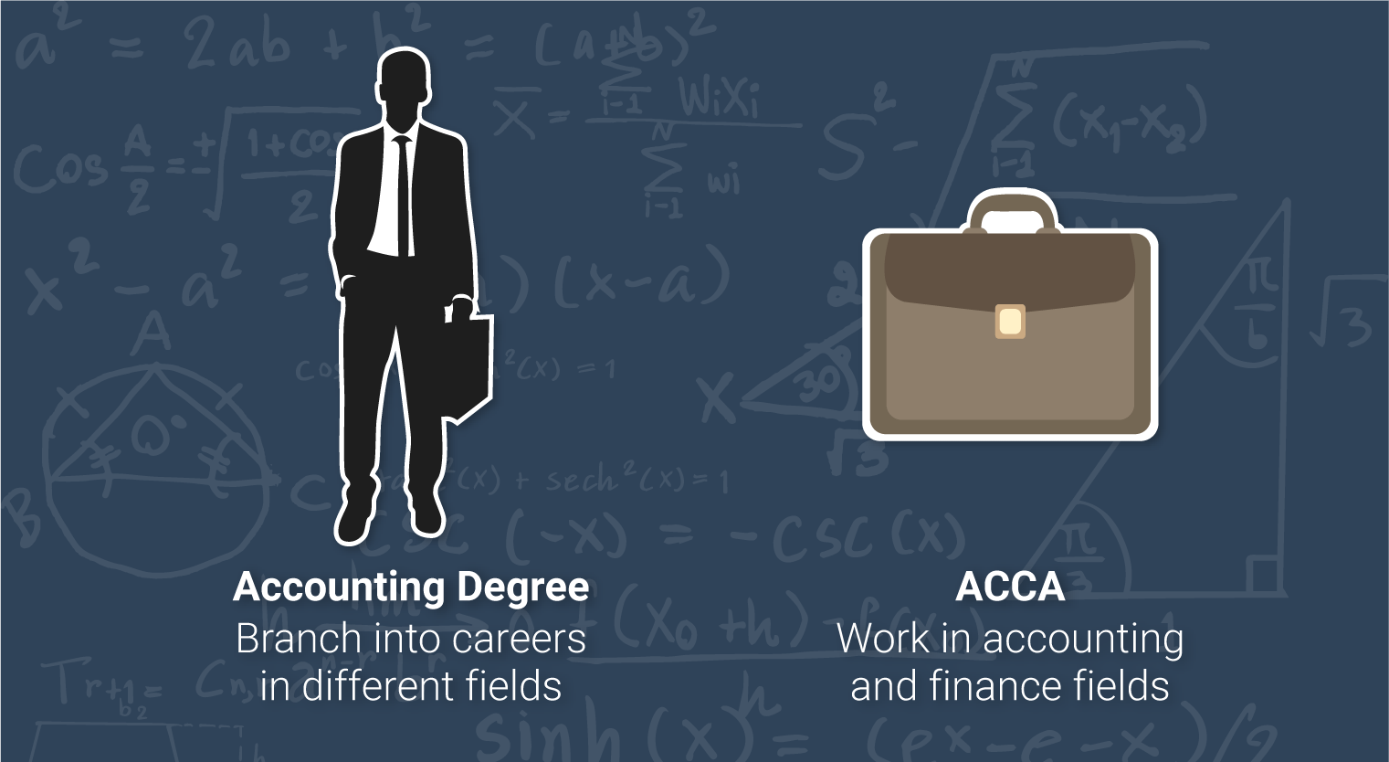 ACCA or accounting degree which course is better - 7 What are my career options 2