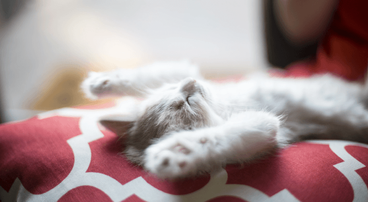 Lessons You’ll Learn In the First Week of University - 7 Sleep will be a thing of the past