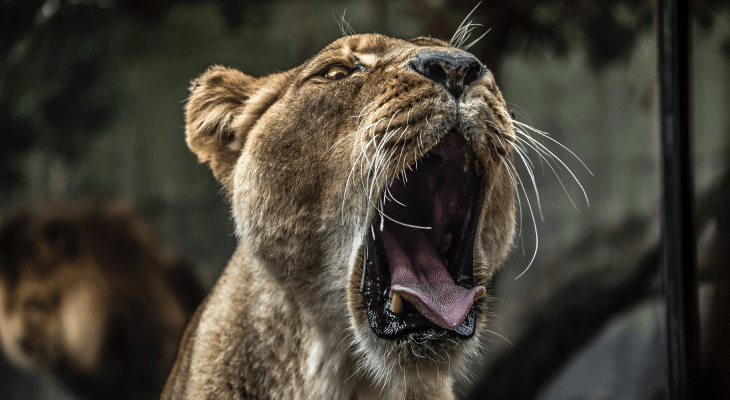 8 Things Your Lecturers Wish They Could Tell You- 4 They don’t bite