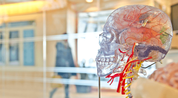 Is gaming good or bad for you-It may improve your memory and other cognitive abilities