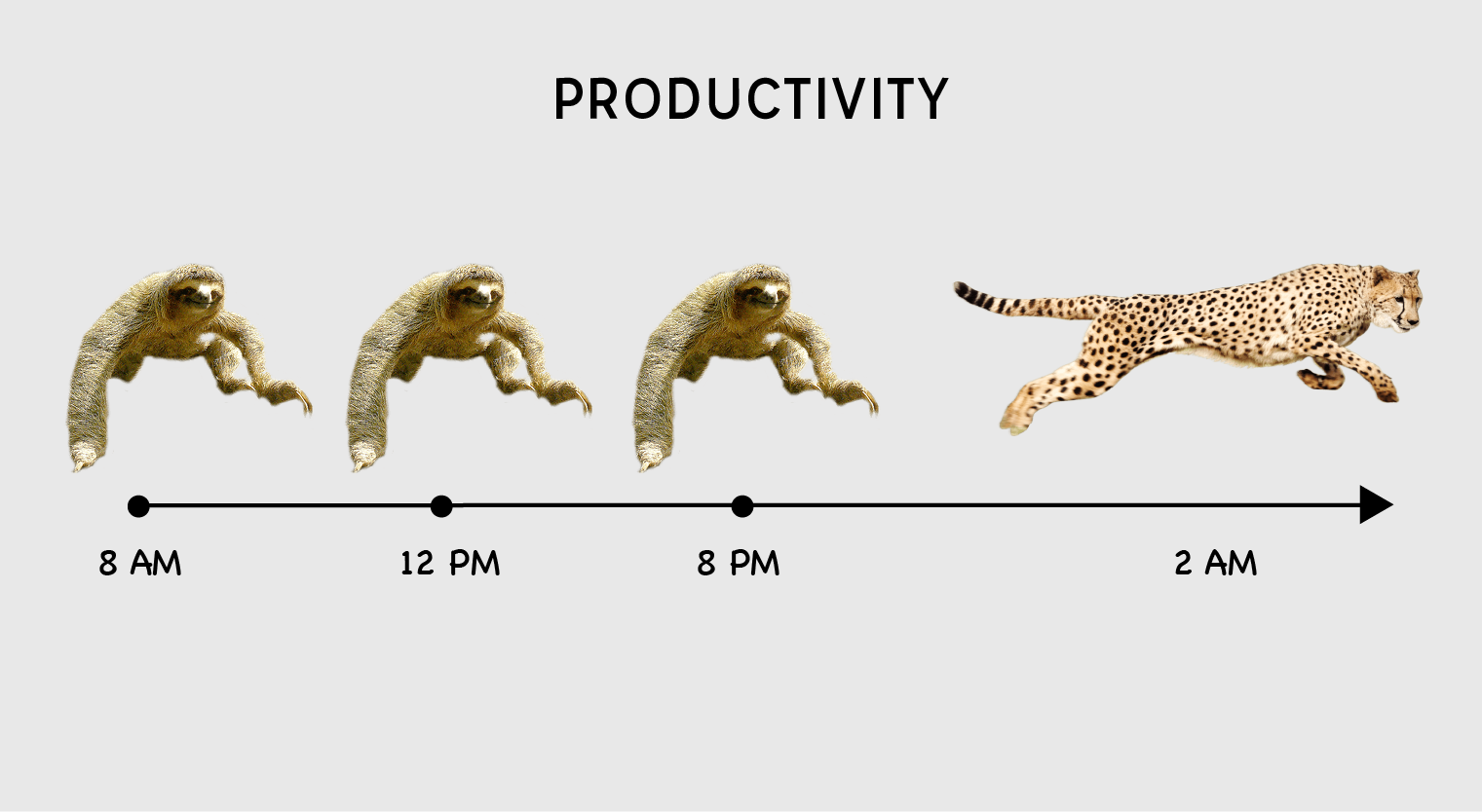 Hilarious Exam Meme Charts -04 Productivity