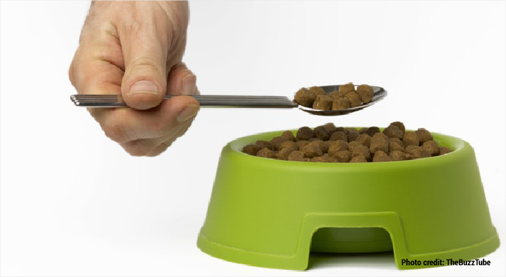 Weird Jobs in Science- Pet food taster