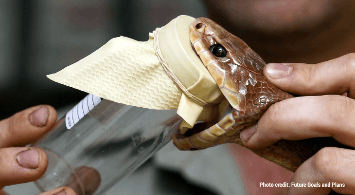 Weird Jobs in Science-Snake milker