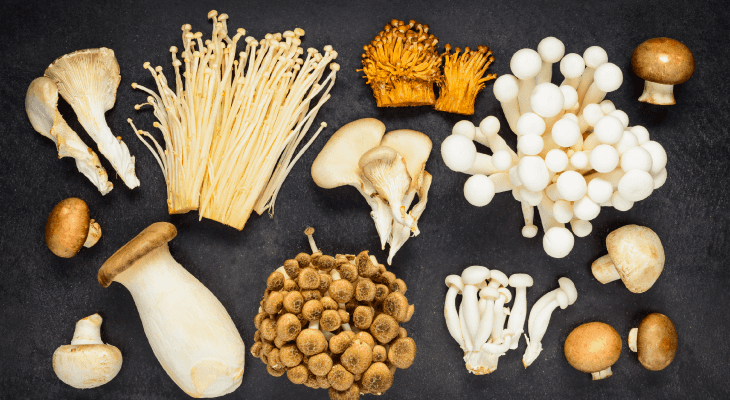 Ways To Boost Your Immune System Before Exams-Mushrooms