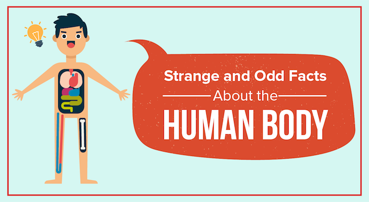 8 Strange Human Body Facts That Fascinates Med Students %%page%% - Feature-Image