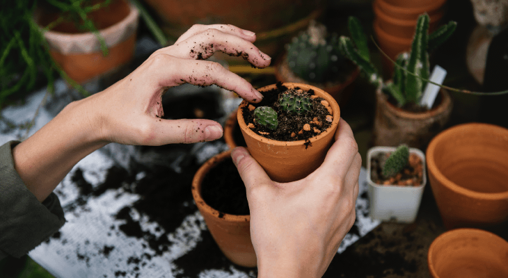 Therapeutic Pastimes-Gardening