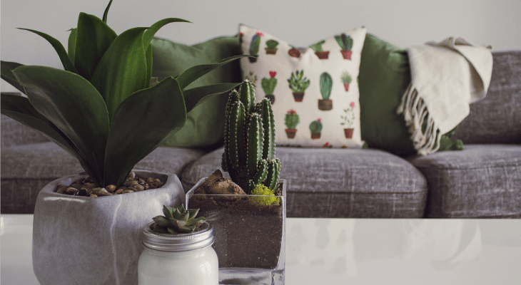 Ideas to Redecorate Your Room-Add the greens