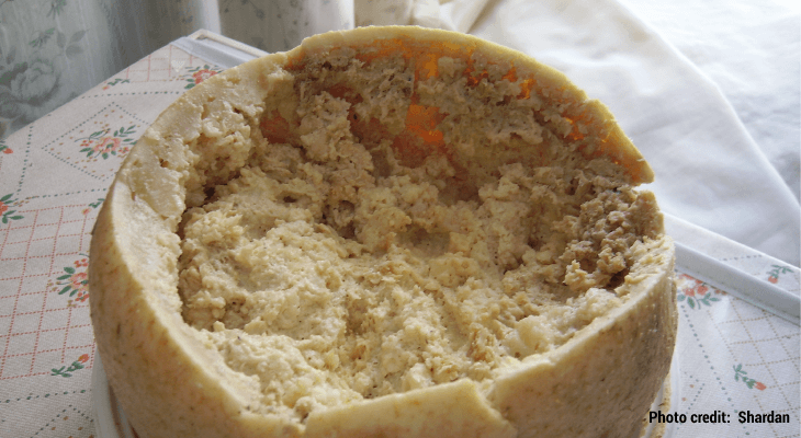 Foods Banned Around the World-Casu marzu 02