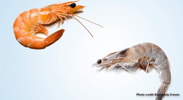 7 Random Questions That Keep You Up All Night