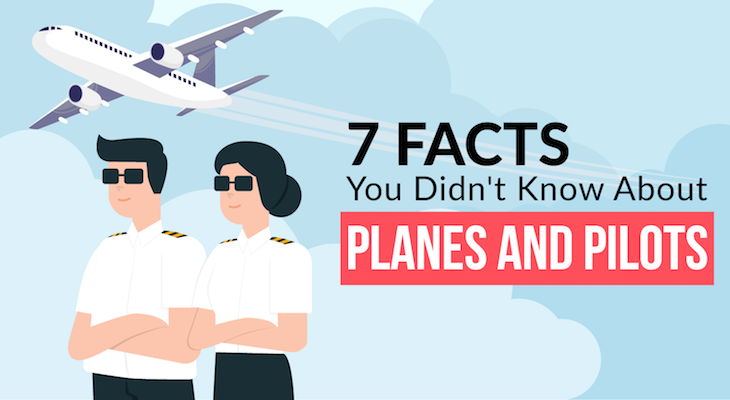 The Life Of A Flight Attendant: 10 Fun Facts You Might Not Know