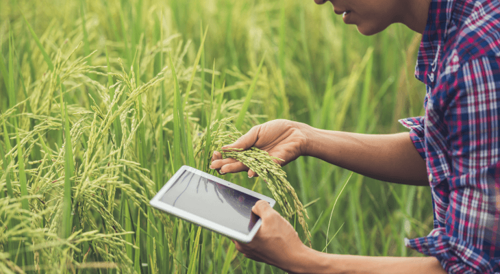 Malaysias Top In-Demand Jobs for 2020-Agriculture