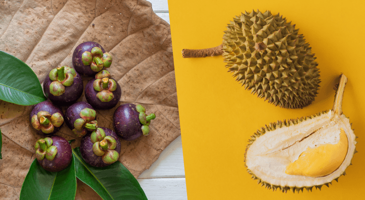 Malaysia Boleh-King and queen of fruits