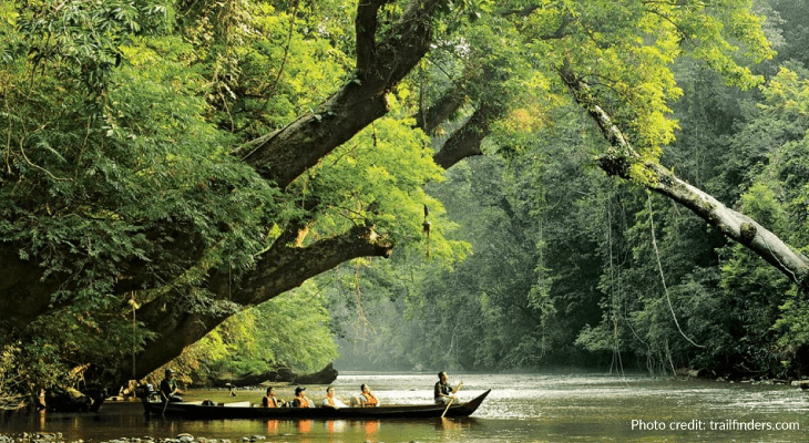 Malaysia Boleh-Oldest rainforests