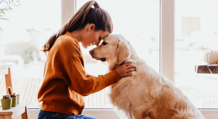 Fascinating Therapy-Pet therapy