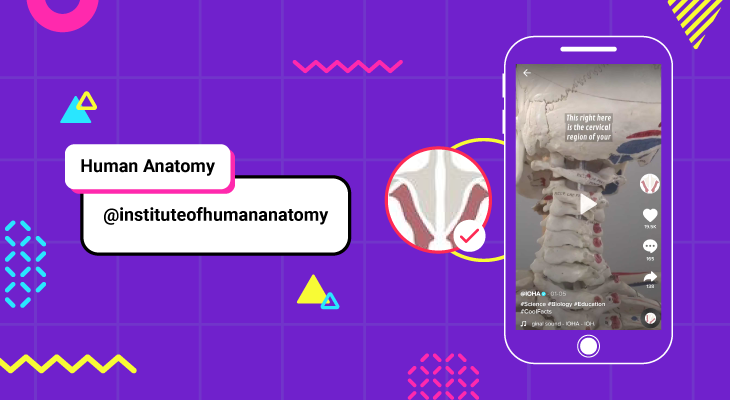 Educational TikTok-Human Anatomy