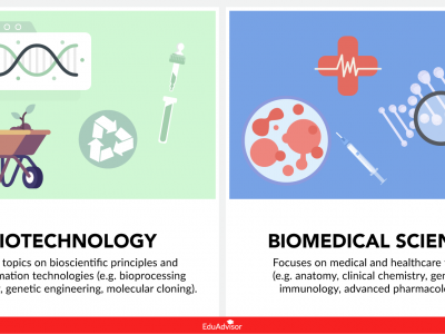 Biotechnology Vs Biomedical Science: What’s The Difference?