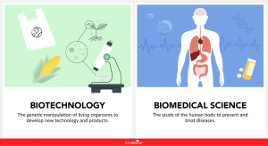 Biotechnology Vs Biomedical Science: What’s The Difference?