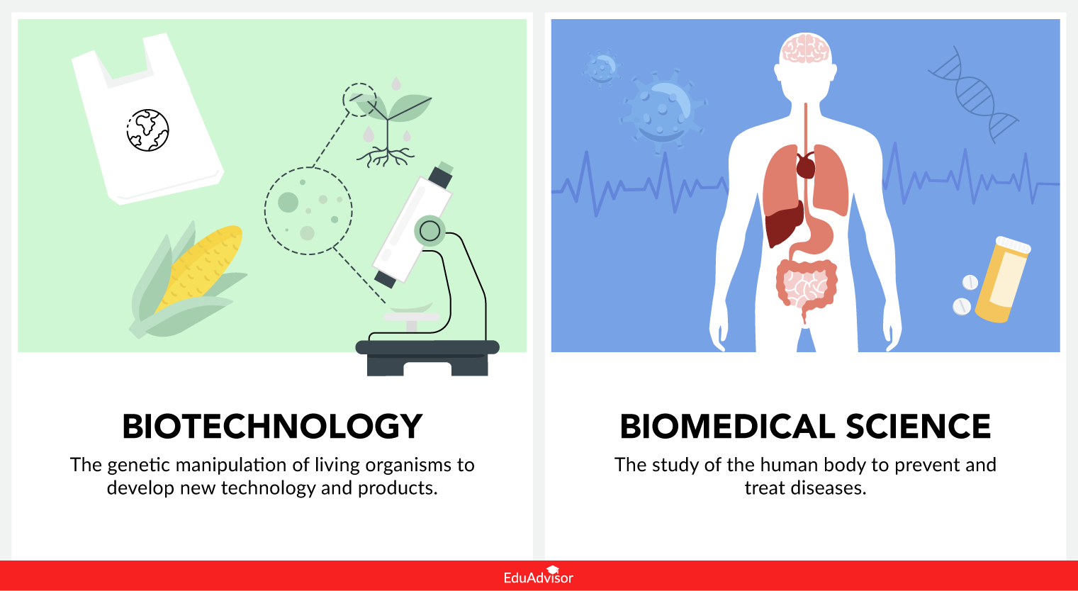 biotechnology-vs-biomedical-science-what-s-the-difference