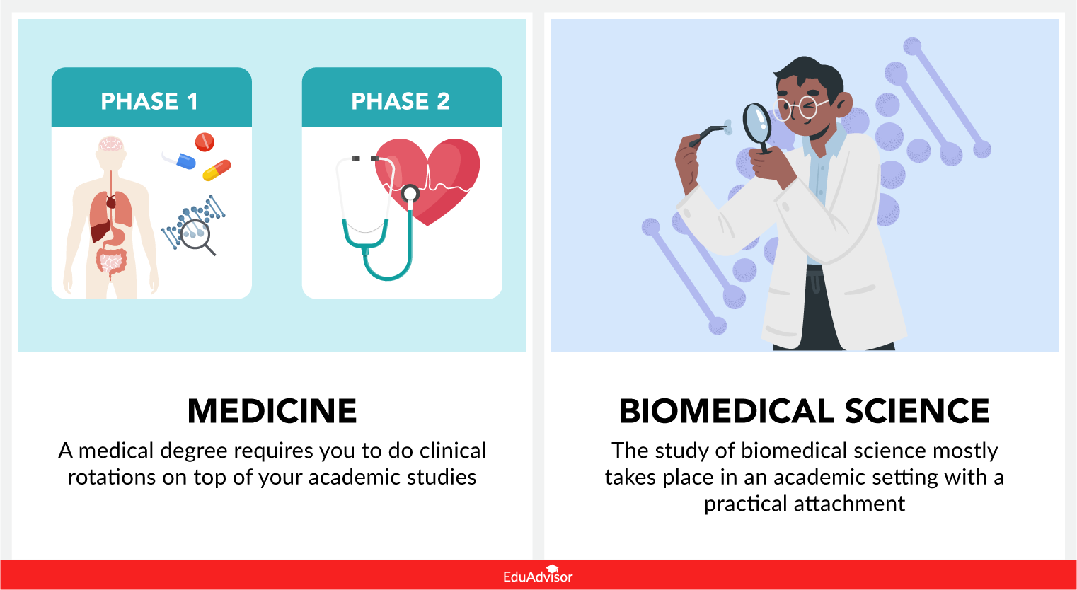 Medicine Vs Biomedical Science What s The Difference 