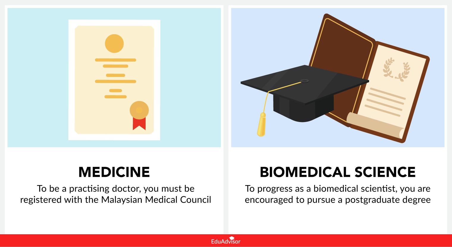 Medicine Vs Biomedical Science: What’s The Difference?