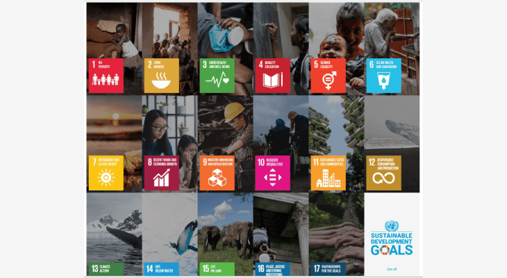 apu-flood-mitigation-project-sdg-goals