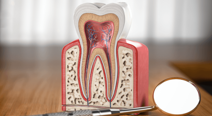 types-dentistry-specialties-endodontist