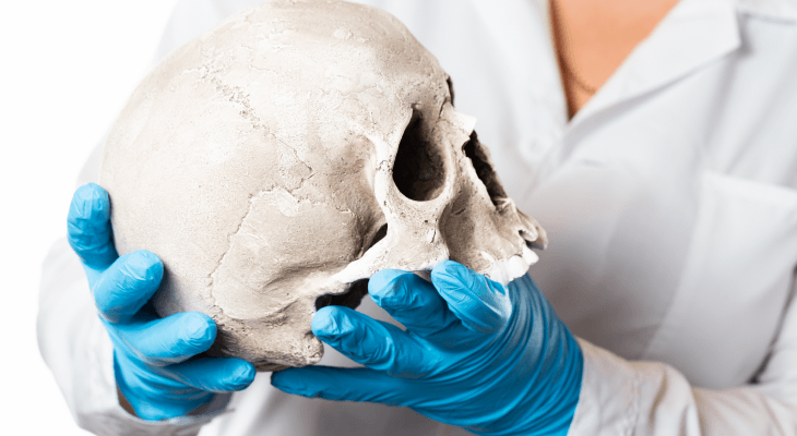 types-dentistry-specialties-forensic-odontologist