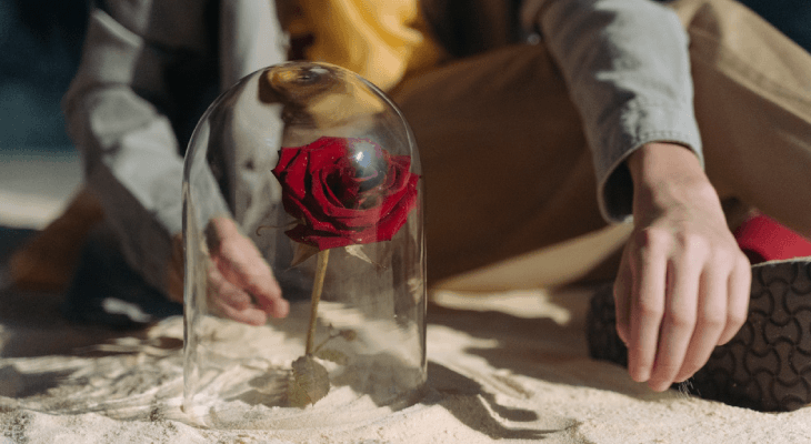 creative-writing-tips-olivia-rodrigo-allusions