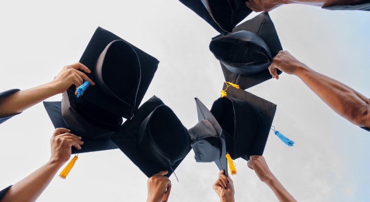 how-to-be-chartered-accountant-degree