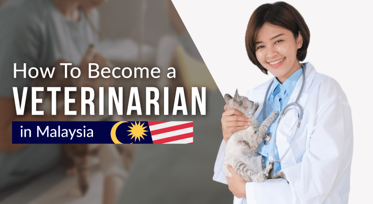 how-to-be-a-vet-malaysia-feature-02