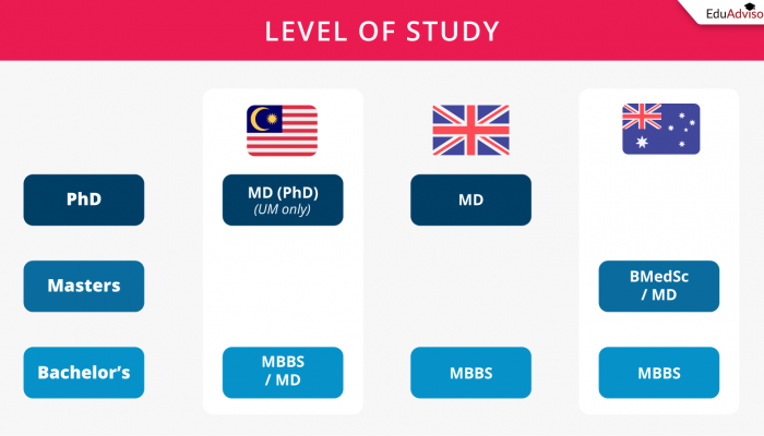 MBBS Vs MD: What’s The Difference?