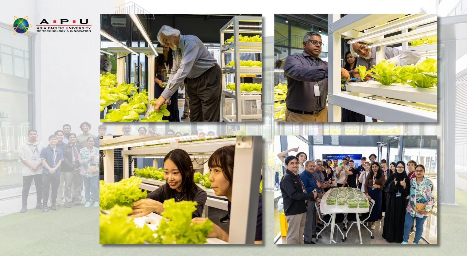 APU’s Smart Digital Farming Hub Bears Harvest