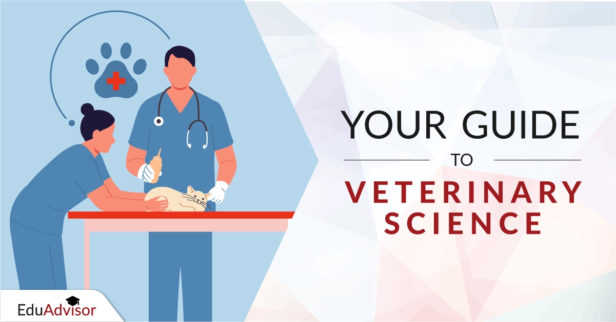 course-guide-veterinary-science-feature-image