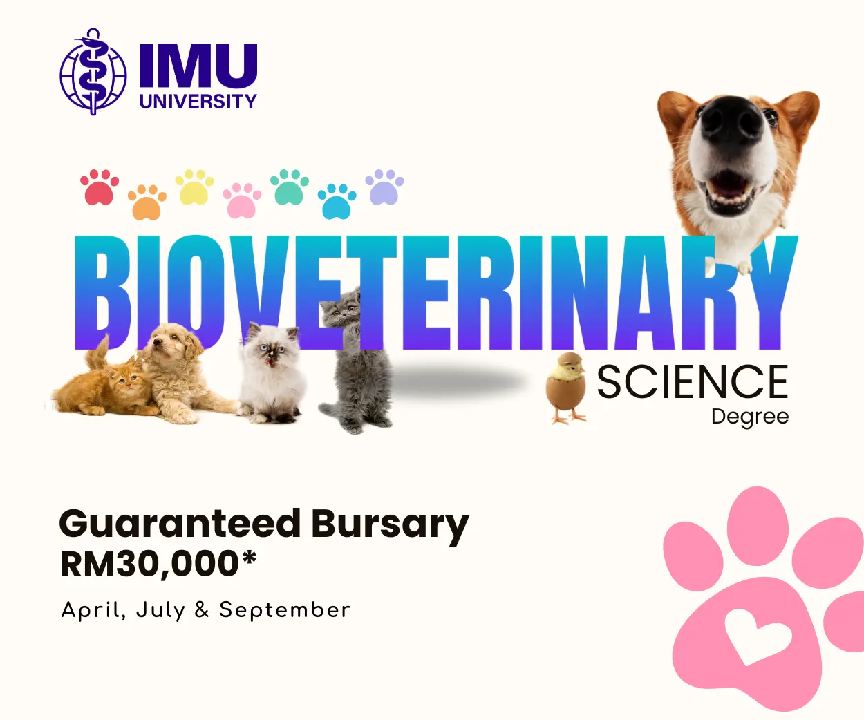 IMU: Veterinary Science- RHS