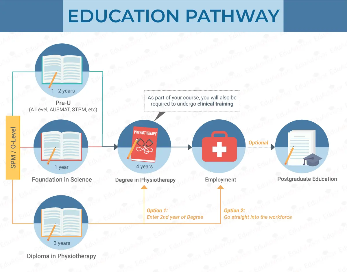 Course-Guide-Physiotherapy-Education-Pathway