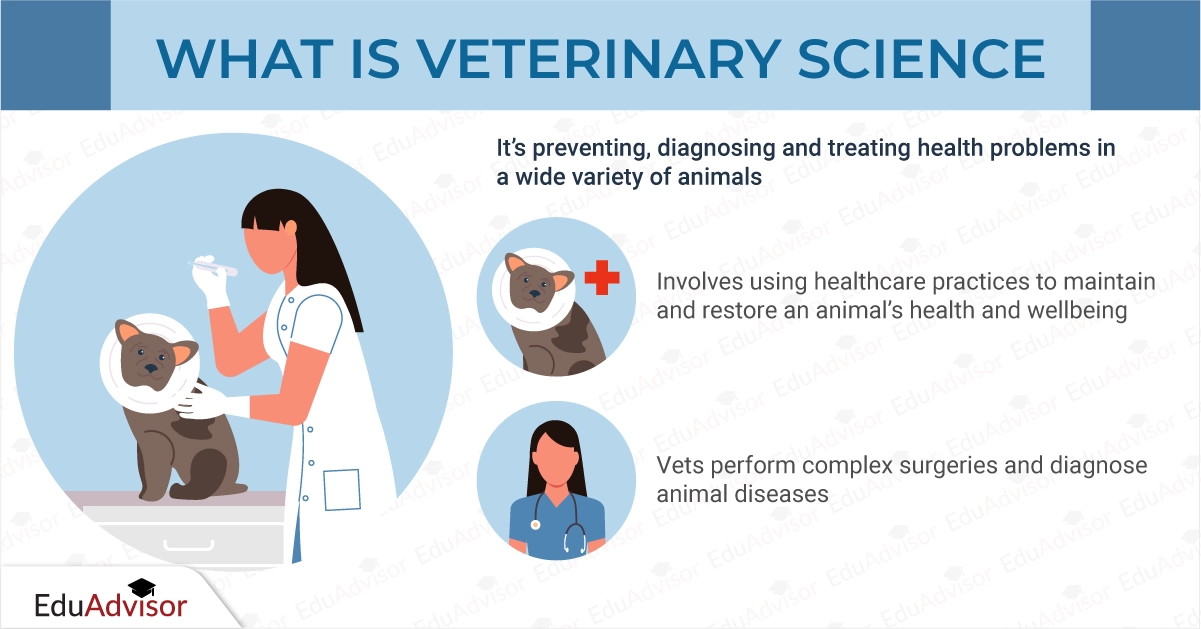 Veterinary Science - What is Veterinary Science