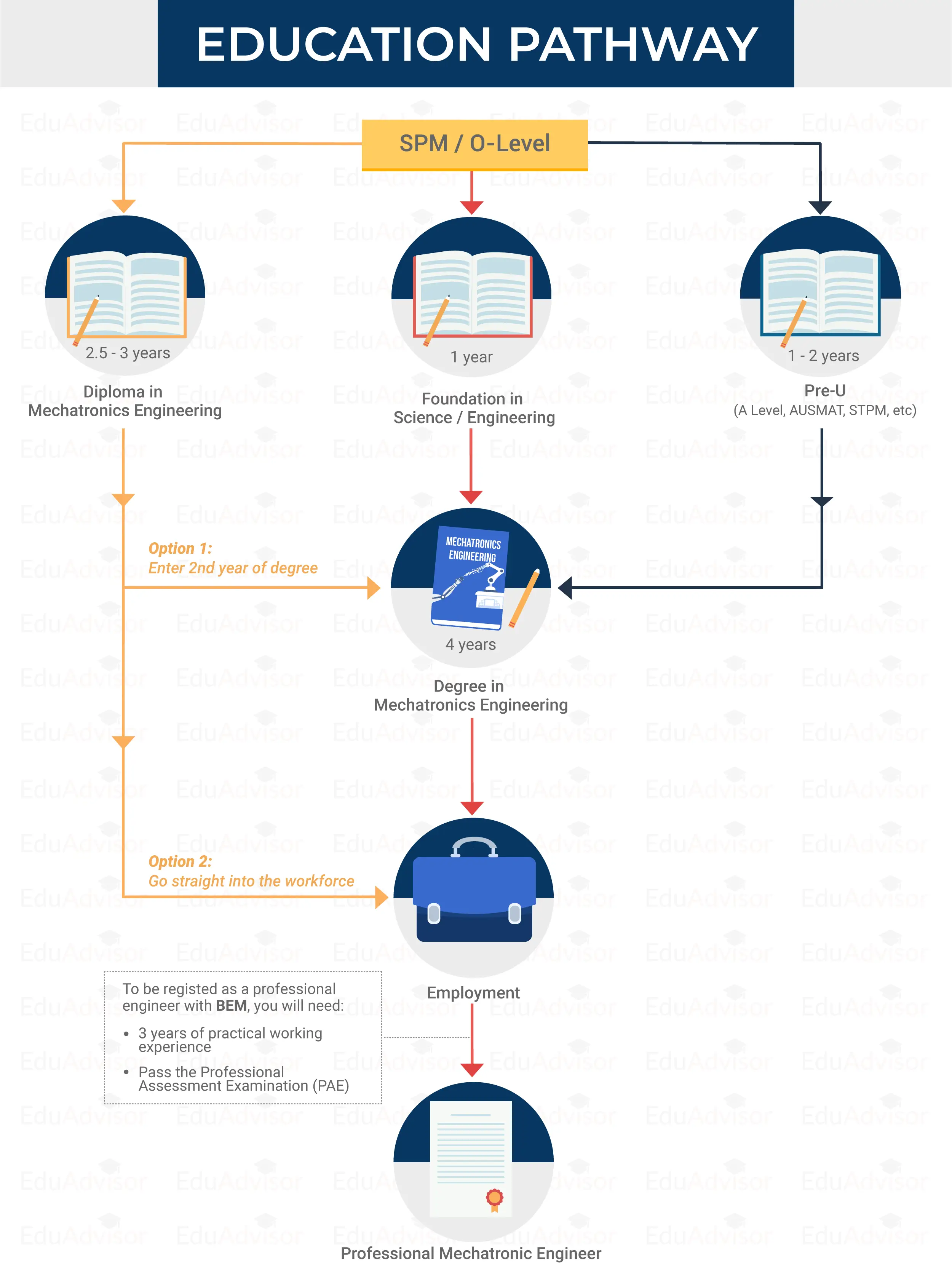 Mechatronic Engineering Pathway