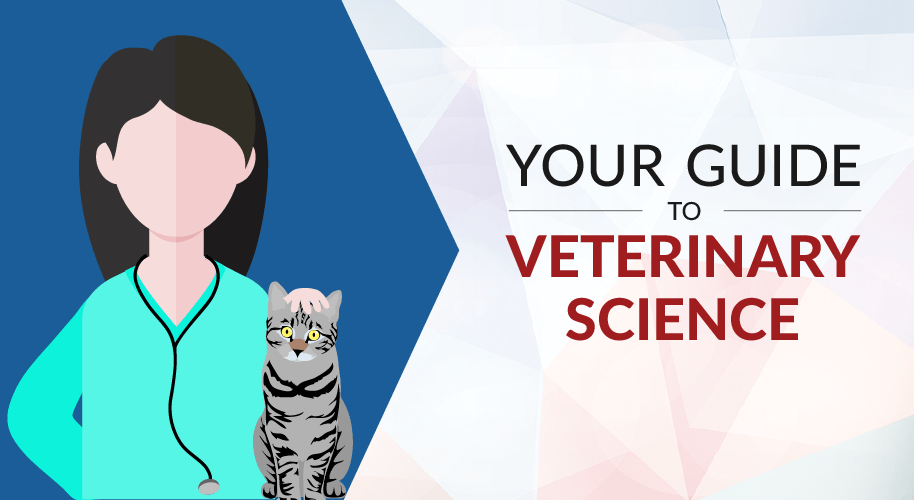course-guide-veterinary-science-feature-image